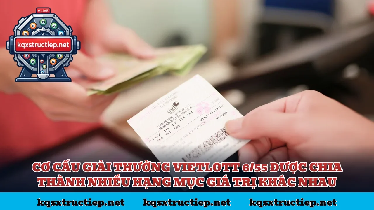 Cơ cấu giải thưởng Vietlott 6/55 được chia thành nhiều hạng mục giá trị khác nhau