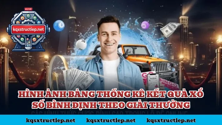 Hình ảnh bảng thống kê kết quả xổ số Bình Định theo giải thưởng