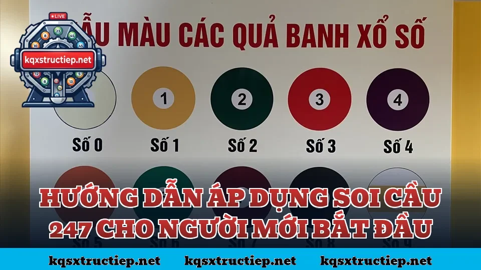 Hướng dẫn áp dụng soi cầu 247 cho người mới bắt đầu