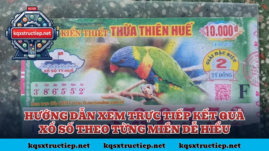 Hướng dẫn xem trực tiếp kết quả xổ số theo từng miền dễ hiểu