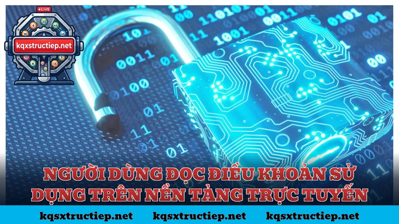 Người dùng đọc điều khoản sử dụng trên nền tảng trực tuyến