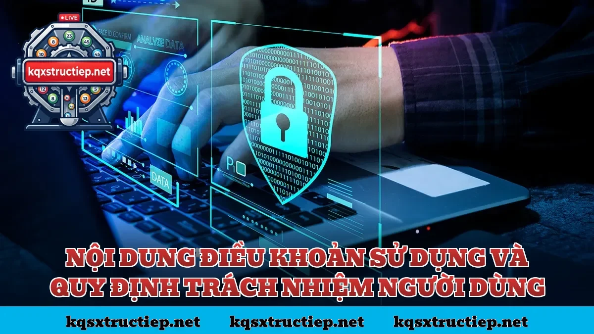 Nội dung điều khoản sử dụng và quy định trách nhiệm người dùng