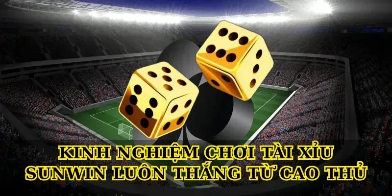 Kinh nghiệm chơi tài xỉu Sunwin luôn thắng từ cao thủ